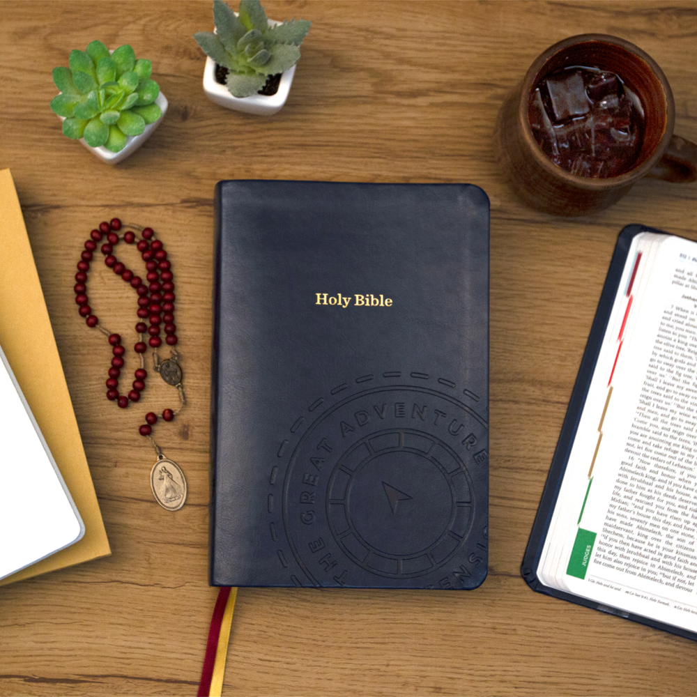 The Great Adventure Catholic Bible