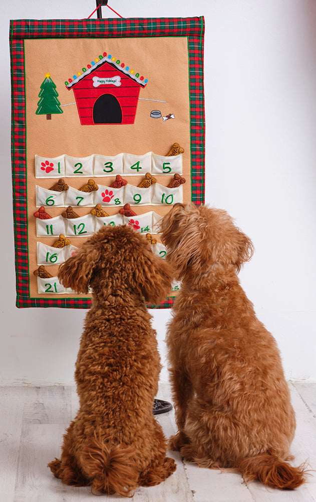 Advent Calendar For Dogs