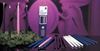 12" Pink or Purple Advent Taper Candles, Sold Individually