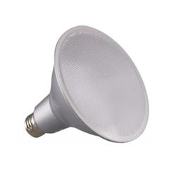 15 Watt LED Warm White Bulb for Outdoor Floodlight