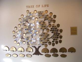 Donor Trees 