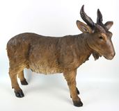 Heavens Majesty Goat, 25" Tall (for 39" Scale Nativity Figures)