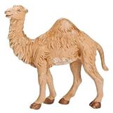 7.5" Fontanini Standing Baby Camel