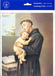 8" X 10" Saint Anthony of Padua (Print Only)