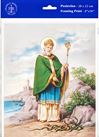 St. Patrick 8" x 10" Print
