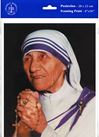 St. Mother Teresa of Calcutta 8" x 10" Print