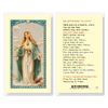 An Offering To Mary Laminated Prayer Card