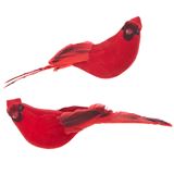 Assorted 7" Clip On Cardinal Ornaments, Sold Each