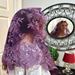 Ave Maria Purple Lace Chapel Veil from Spain - 126474