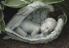 Baby in Wings Garden Statue