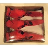 Box of 12 13cm Feathered Cardinal Ornaments