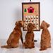 Canine Countdown Dog Advent Calendar *WHILE SUPPLIES LAST* - 122521