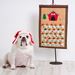 Canine Countdown Dog Advent Calendar - 122521