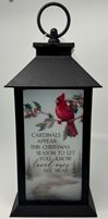 Cardinals Appear Winter Memorial Lantern