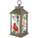 Cardinals Appear with Angels Are Near LED Lantern