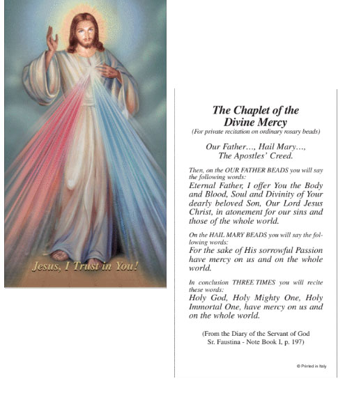 Chaplet Of Divine Mercy Paper Prayer Card, Pack of 100