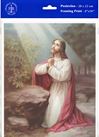 Christ On Mount Olive 8" x 10" Print