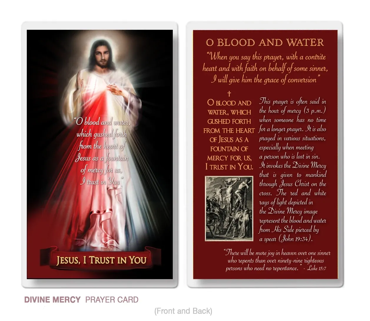 Divine Mercy (Blood and Water) 2.5" x 4.5" Laminated Prayer Card