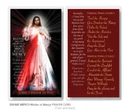 Divine Mercy (Works of Mercy) 2.5" x 4.5" Laminated Prayer Card