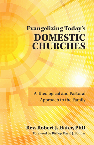 Evangelizing Today's Domestic Churches A Theological and Pastoral Approach to the Family   Rev. Robert J. Hater, Ph.D.