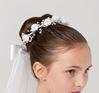 First Communion Floral Wreath with Veil 