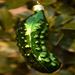 Glass Pickle Ornament w/Story