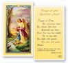 Guardian Angel Laminated Prayer Card
