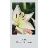 Happy Occasion Paper Prayer Card, Pack of 100