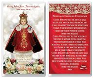 Holy Infant of Prague 2.5" x 4.5" Laminated Prayer Card