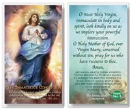 Immculate Conception 2.5" x 4.5" Laminated Prayer Card