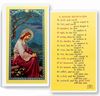 Jesus Laminated Prayer Card: A Savior Meditation