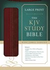 KJV Study Bible Lg Print Imitation Leather /Brown