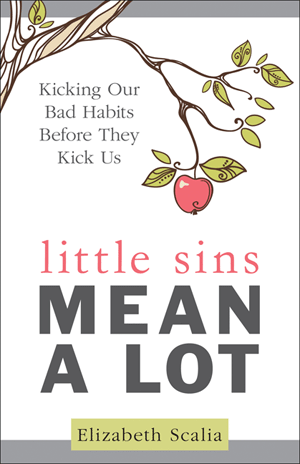 Little Sins Mean a Lot: Kicking Our Bad Habits Before They Kick Us   Elizabeth Scalia