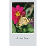 May You Have Paper Prayer Card, Pack of 100