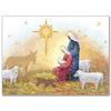Nativity with Star Boxed Christmas Cards