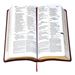 New American Bible-