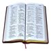 New American Bible (Giant Type) 
