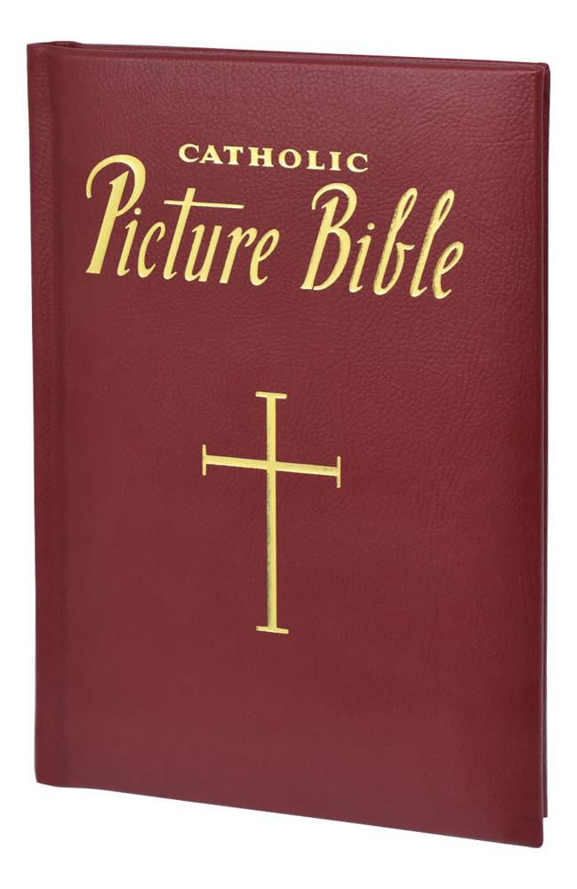 New Catholic Picture Bible Popular Stories From The Old And New Testaments