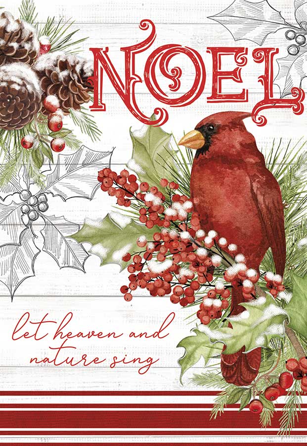 Noel Cardinal Boxed Christmas Cards 10/PKG