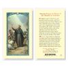 Novena Prayer In Honor of St. Francis Xavier Laminated Prayer Card