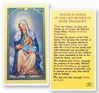 Our Lady Of Divine Providence Laminated Prayer Card