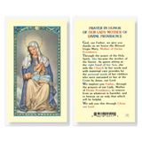 Our Lady Of Divine Providence Laminated Prayer Card