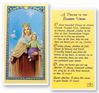 Our Lady Of Mt. Carmel Laminated Prayer Card