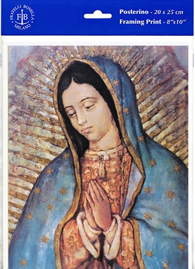 Our Lady of Guadalupe 8" x 10" Print