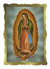 Our Lady of Guadalupe Mass Card, Box of 50