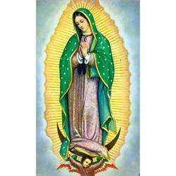 Our Lady of Guadalupe Paper Prayer Card, Pack of 100