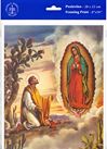 Our Lady of Guadalupe with Juan Diego 8" x 10" Print