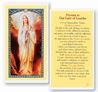 Our Lady of Lourdes Novena Laminated Prayer Card