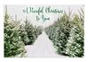 Peaceful Christmas to You - 18 Christmas Boxed Cards with Envelopes