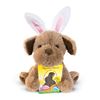 Plush Puppy with Bunny Ears and 1.5oz. Chocolate Bunny